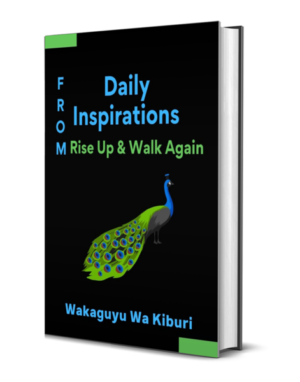 Daily Inspirations from Rise Up And Walk Again