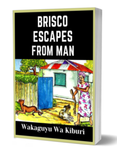 brisco-escapes-from-man-1068157-2