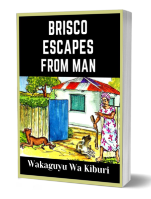 Brisco Escapes From Man (Sahara Series 6:  Dog 6)