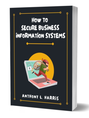 How to Secure Business Information Systems