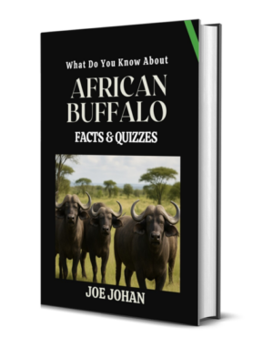 What Do You Know About The African Buffalo: Facts & Quizzes