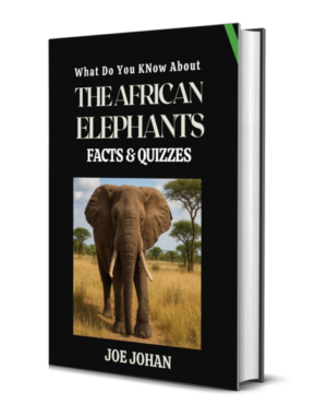 What Do You Know About The African Elephant: Facts & Quizzes