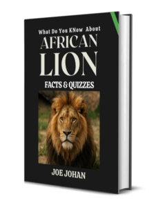 What Do You Know About African Lions