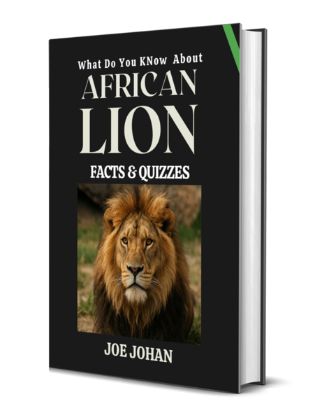 What Do You Know About African Lions