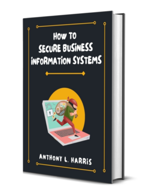 How to Secure Business Information Systems