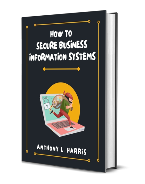 how-to-secure-business-information-systems-1054023-1