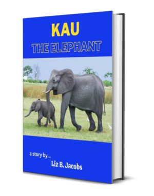 Kau the Elephant