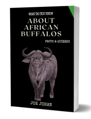 What Do You Know About The African Buffalo: Facts & Quizzes