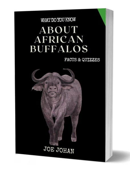Buffalo Quiz