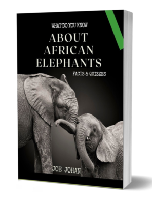 What Do You Know About The African Elephant: Facts & Quizzes