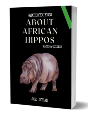 What Do You Know About The Hippos: Facts & Quizzes