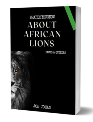 What Do You Know About The African Lions: Facts & Quizzes