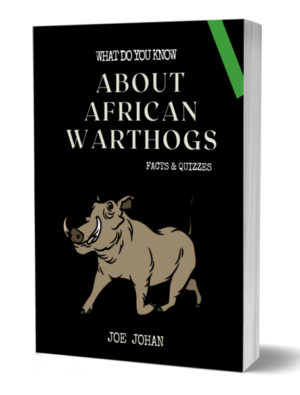 What Do You Know About Warthogs: Facts & Quizzes