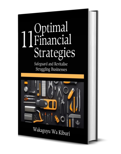 11 Optimal Financial Strategies