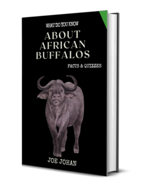 What Do You Know About The African Buffalo: Facts & Quizzes