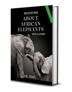 What Do You Know About The African Elephant: Facts & Quizzes