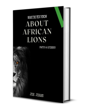 What Do You Know About The African Lions: Facts & Quizzes