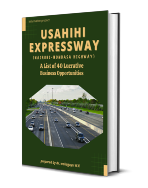 Business Opportunities on Usahihi Expressway