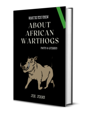 What Do You Know About Warthogs: Facts & Quizzes